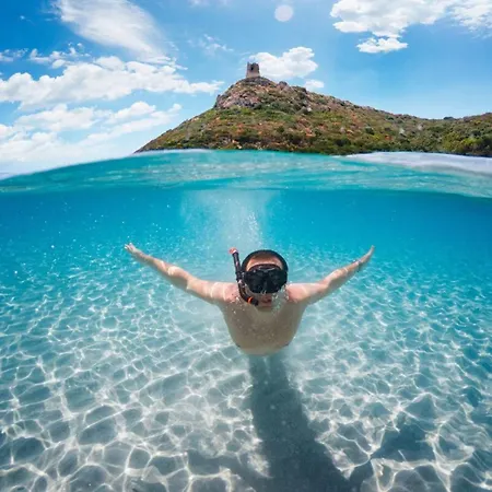 Apartment Alba - Glimpse Of The Sea Sea Nearby Ajaccio (Corsica)